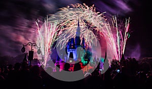 Magic Kingdom fireworks 14
