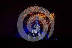 Magic Kingdom fireworks 15