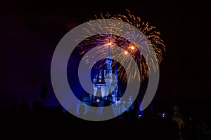 Magic Kingdom fireworks 16