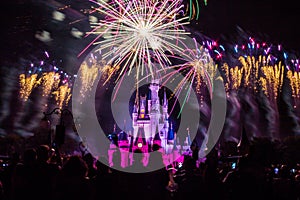 Magic Kingdom fireworks 19