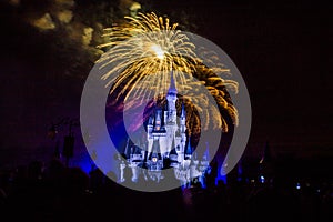 Magic Kingdom fireworks 20