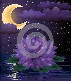 Magic lotus flower background