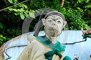 Magic monkey in Thailand