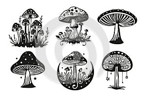 Magic mushroom and moon fairy silhouette set. Mushrooms with stars celestial vector collection