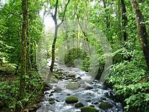 Magic river in Guapiles, LimÃÂ³n , Costa Rica. Rainforest photo