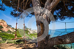 Magic and romantic place of Falesia Beach with swing along coast with view on Atlantic Ocean
