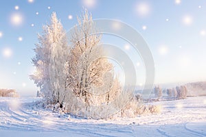 Magic snowflakes against beautiful winter background. Christmas theme. Shining snowflakes fall on white snow