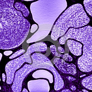 Magic Spell Concept. Lavender Imaginary