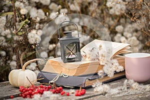 Magic still life. Vintage still life. Old book and photo album and lamp among the bushy dandelions.