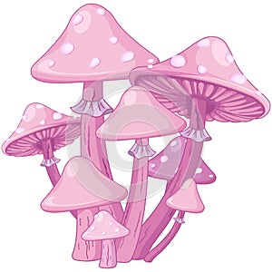 Magic Toadstools