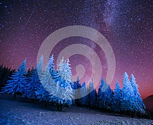 Magic tree in starry winter night