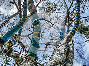 Magic tree whose branches are surrounded by colorful fabrics in Nan Riverside Art Gallery park