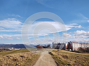 Magické stromy a cestičky v lese.