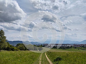 Čarovné stromy a cestičky v lese a na lúke.