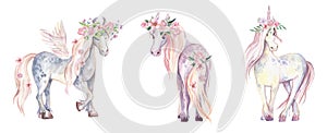 Magic Unicorn, Pegasus and Pony. Watercolor illustration, beauti