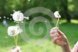 Magic unseen dandelion blow.