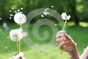 Magic unseen dandelion blow.