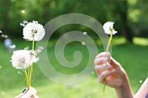 Magic unseen dandelion blow.