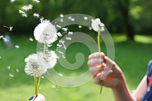 Magic unseen dandelion blow.