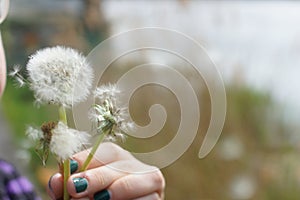 Magic unseen dandelion blow.