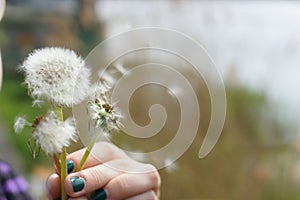 Magic unseen dandelion blow.