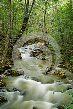 Magic Virew at Roaring Run Creek and Forest