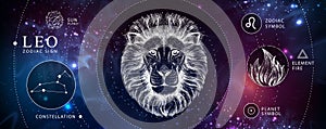 Modern magic witchcraft card with astrology Leo zodiac sign. Realistic hand drawing lion head. Zodiac characteristic photo