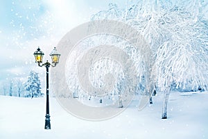 Magic yellow lantern in a fabulous winter city park. Winter city landscape. Christmas background.