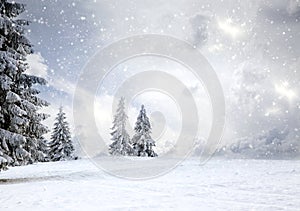 magical Christmas card with fairy tale winter landscape with snow covered firs