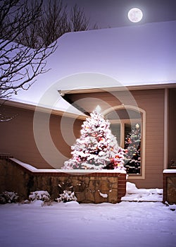 Magical Christmas Tree In the Snow with  moonrise