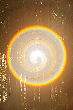 Magical circle rainbow ray from the sun