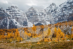 Magical colors of autumn season in Canadian rockies