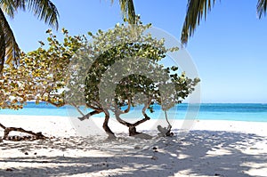 The magical colors of Playa Esmeralda in Guardalavaca, Cuba photo