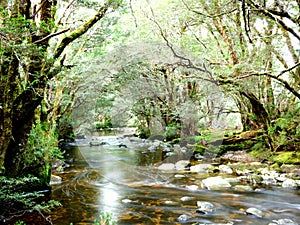 The Magical Creek
