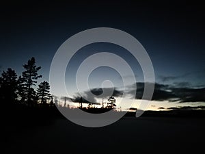 Magical dark night in the forest. Dark trees light sky with dark trees and clouds. Mysterious photo of the night forest.