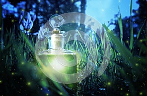 Magical fairy dust potion in bottle in the forest.