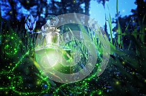 Magical fairy dust potion in bottle in the forest.