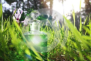 Magical fairy dust potion in bottle in the forest.