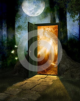 Magical Fairy Wood with Door to New World photo