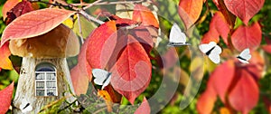 A magical, fantastic forest in autumn with red leaves on tree branches on a blurry background. A fairy-tale house with a window ma