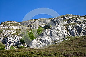 Magical forest climbing the highest Mountain