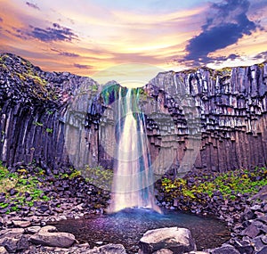 Magical landscape with a famous Svartifoss waterfall in the middle of basalt pillars in Skaftafell, Vatnajokull National Park,