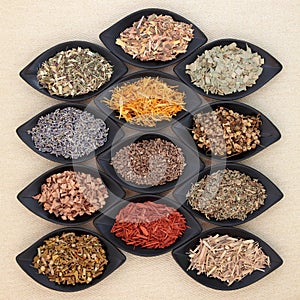 Magical and Medicinal Herbs