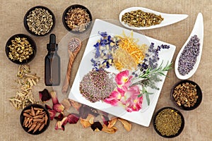 Magical and Medicinal Herbs