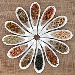 Magical and Mediicinal Herbs