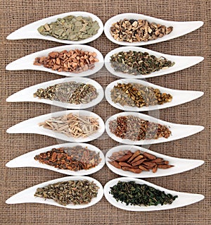 Magical and Mediicinal Herbs