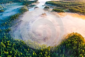 Magical morning in green forest, aerial landscape. Fog over trees