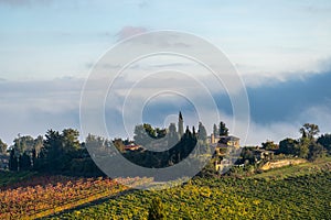 Magical outline of a misty valley in the morning landscape, the countryside of Tuscany, Italy, Europe