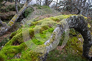 Magical place of giant stones and narrow passages in the mountain