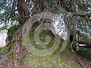 Magical place of giant stones and narrow passages in the mountain photo